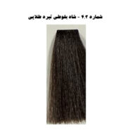 رنگ مو فشینلی
