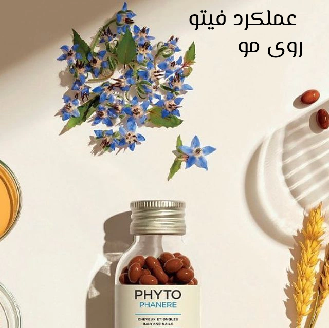 نحوه عملکرد فیتو روی مو